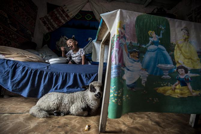 Álom és valóság – Győztes képek a Millenárison